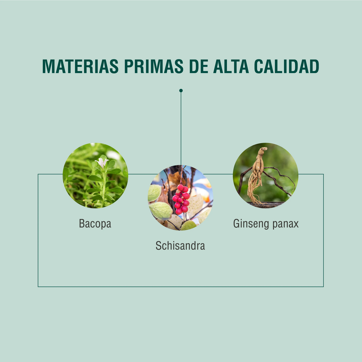 CCM (Agotamiento Mental)