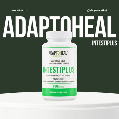 Intestiplus