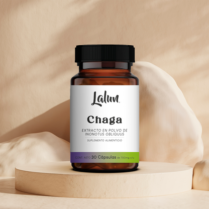 Chaga