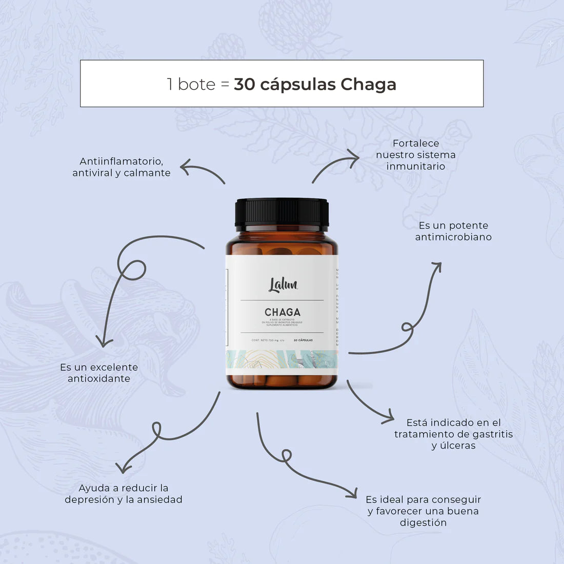 Chaga