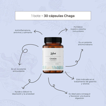 Chaga