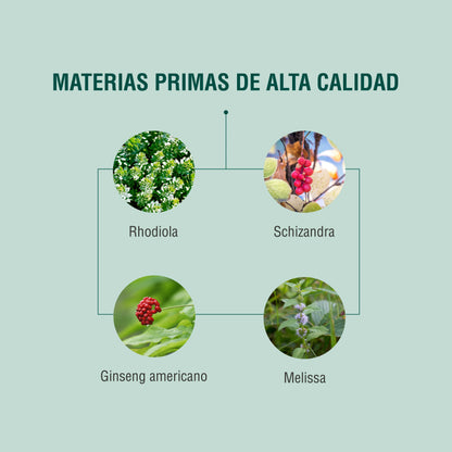 ES3 (Estrés, insomnio, cortisol elevado)