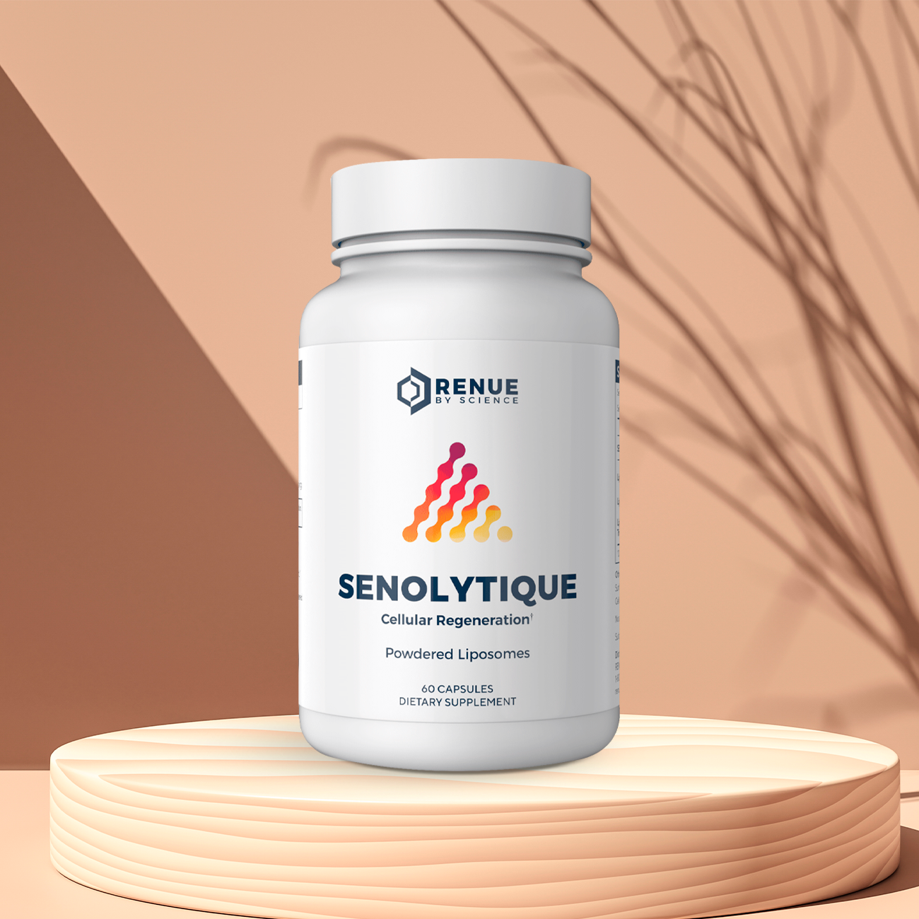 NAD+ Activator Senolytique 60c