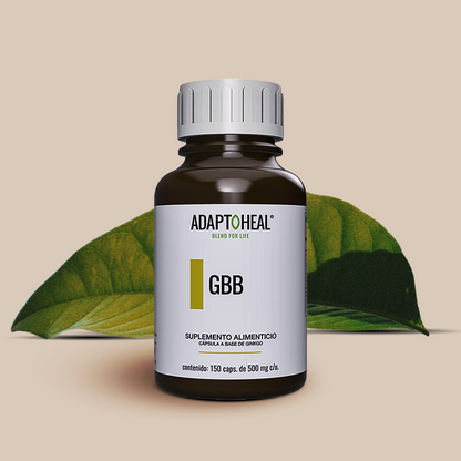 Ginkgo Biloba