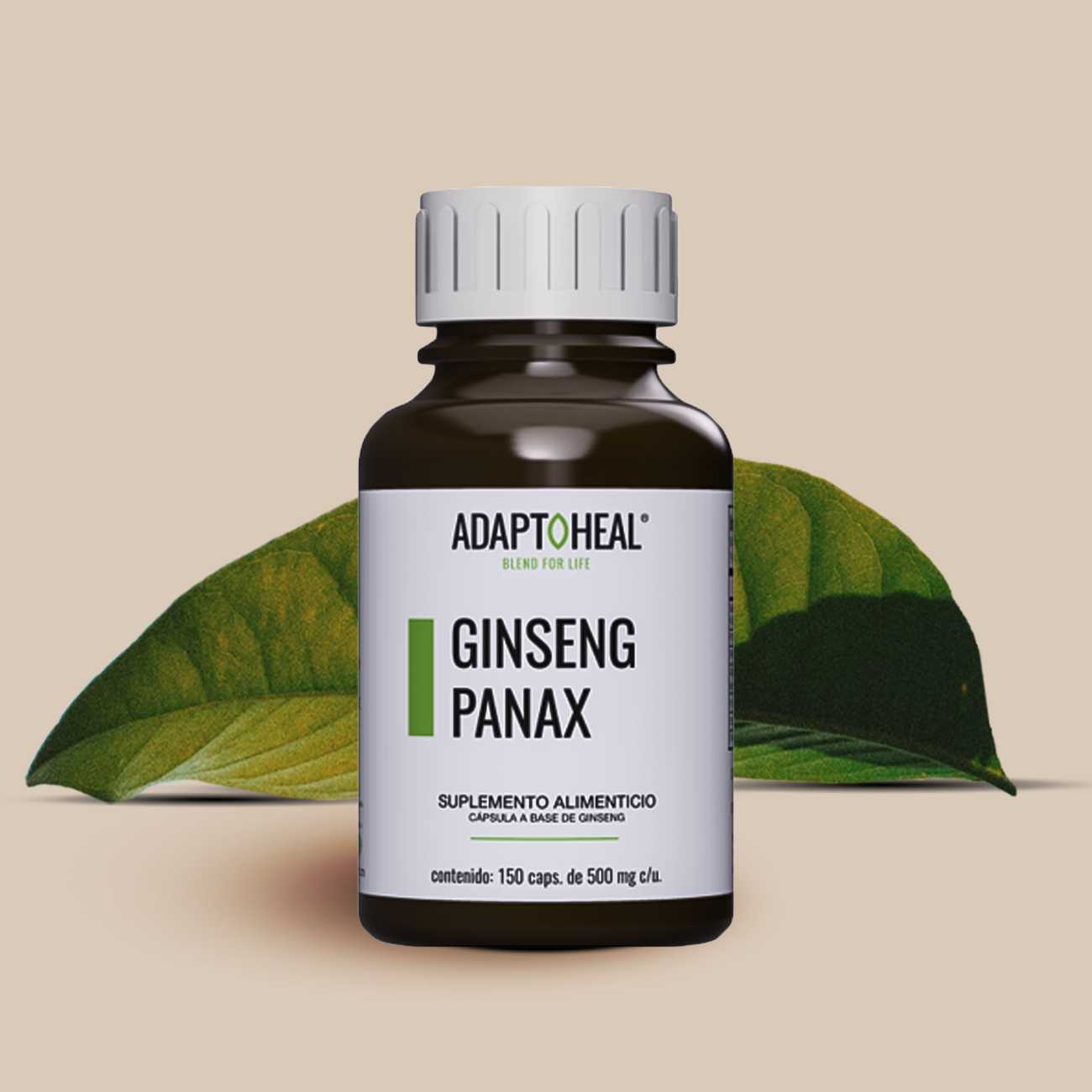 Ginseng Panax